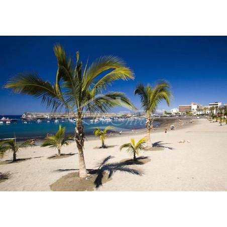 Sprzedaż - Nieruchomości - Mieszkanie - Playa San Juan 2