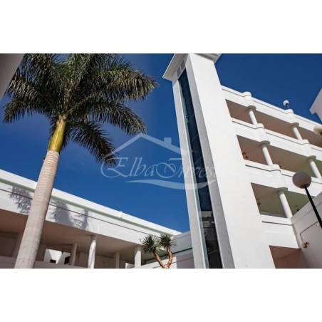 Sprzedaż - Nieruchomości - Mieszkanie - San Eugenio Alto 1