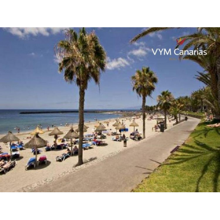 Sprzedaż - Nieruchomości - Apartament - Duplex - Playa de Las Americas - Arona 2