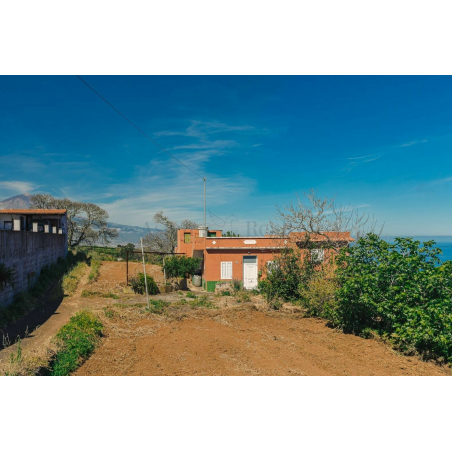 Sprzedaż - Nieruchomości - House - El Sauzal 1