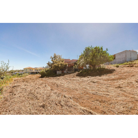 Sprzedaż - Nieruchomości - House - El Sauzal 1