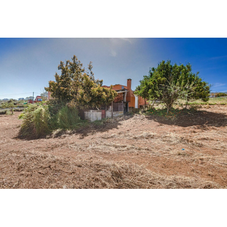 Sprzedaż - Nieruchomości - House - El Sauzal 1