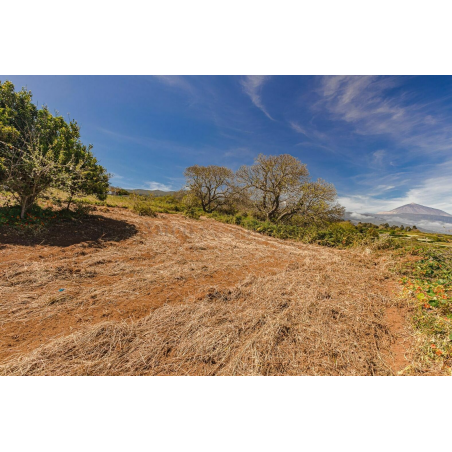 Sprzedaż - Nieruchomości - House - El Sauzal 1