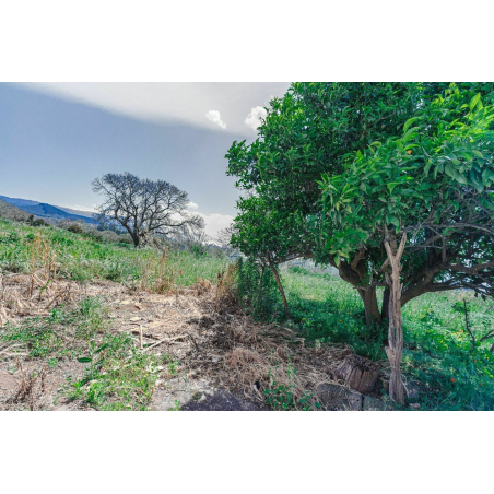 Sprzedaż - Nieruchomości - House - El Sauzal 1