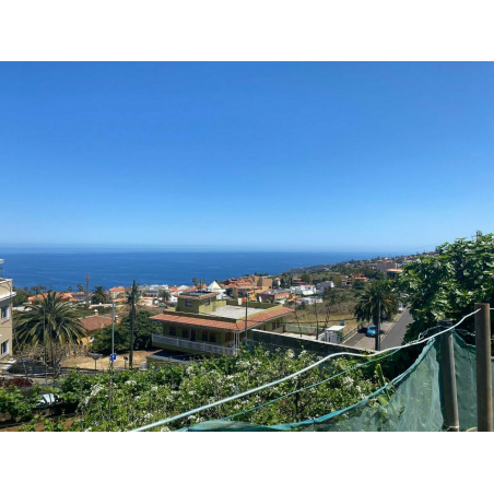 Sprzedaż - Nieruchomości - Land - El Sauzal 1