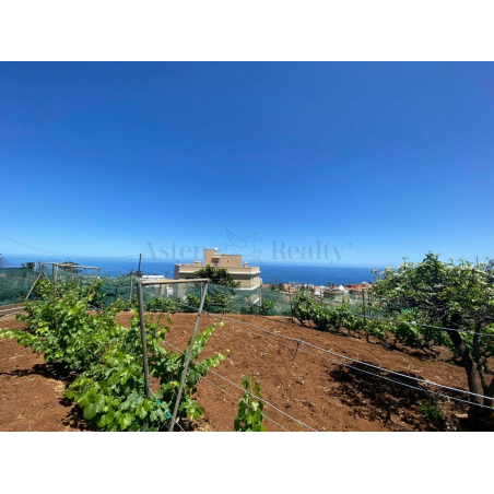 Sprzedaż - Nieruchomości - Land - El Sauzal 1