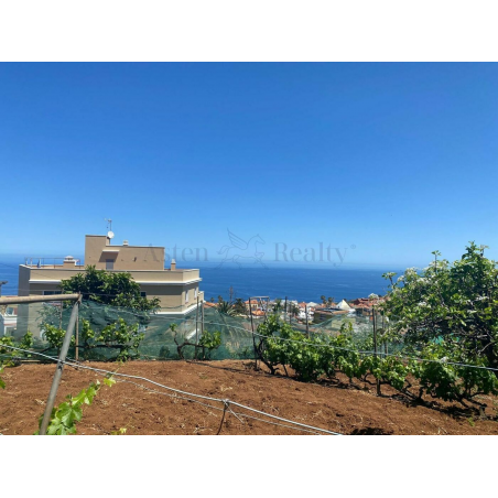 Sprzedaż - Nieruchomości - Land - El Sauzal 1