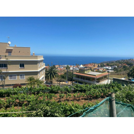 Sprzedaż - Nieruchomości - Land - El Sauzal 1