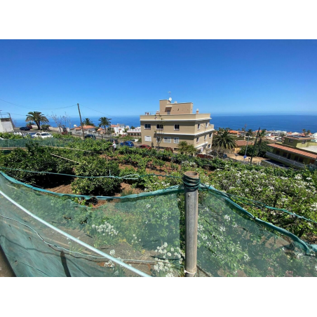 Sprzedaż - Nieruchomości - Land - El Sauzal 1