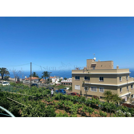 Sprzedaż - Nieruchomości - Land - El Sauzal 1