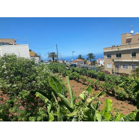 Sprzedaż - Nieruchomości - Land - El Sauzal 1