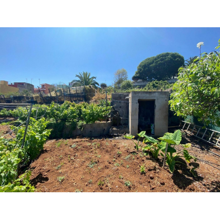 Sprzedaż - Nieruchomości - Land - El Sauzal 1