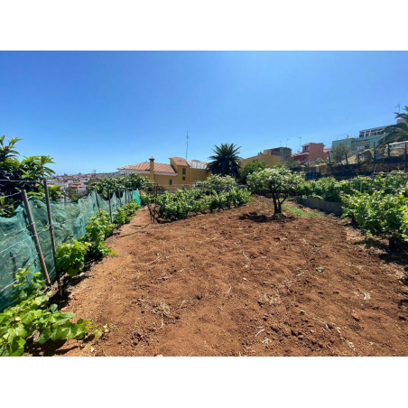 Sprzedaż - Nieruchomości - Land - El Sauzal 1