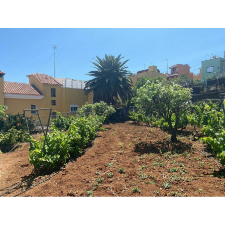 Sprzedaż - Nieruchomości - Land - El Sauzal 1